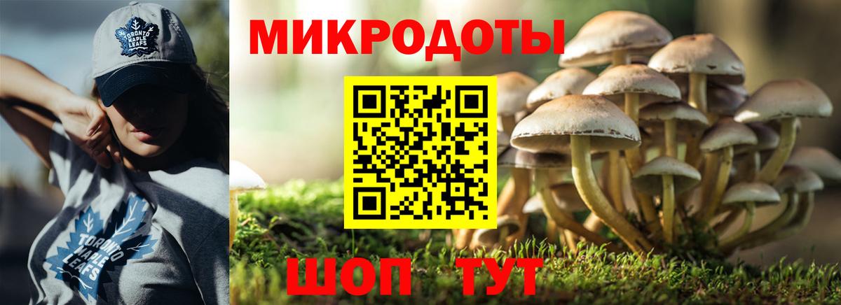 дарнет шоп  Псилоцибиновые грибы GOLDEN TEACHER  Вход с VPN  Чистополь 